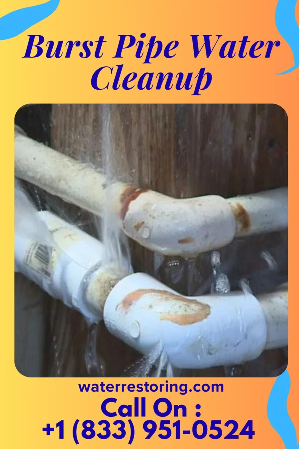 Burst Pipe Water Cleanup in Dunkirk, OH