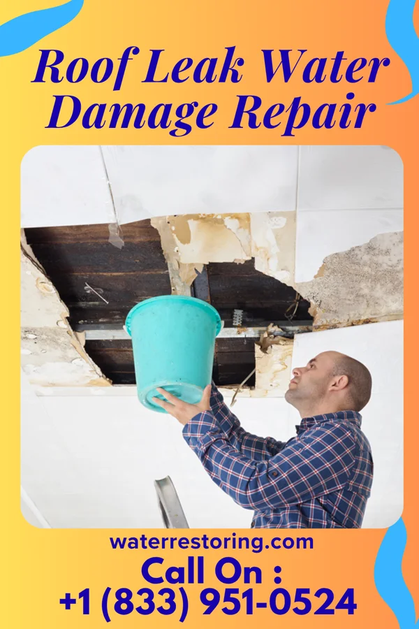 Roof Leak Water Damage Repair in Dunkirk, OH