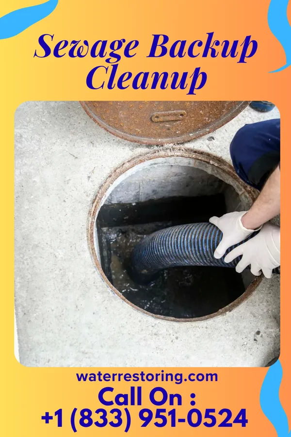 Sewage Backup Cleanup in Dunkirk, OH