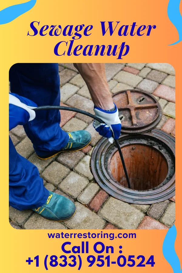 Sewage Water Cleanup in Dunkirk, OH