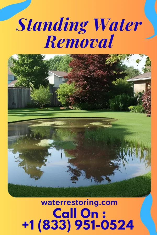 Standing Water Removal in Dunkirk, OH